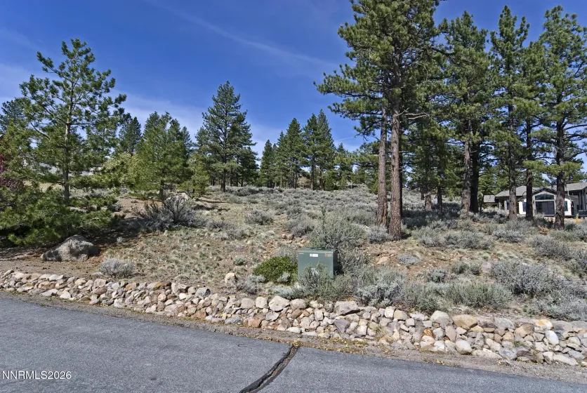 490 Mount Mahogany, Reno, Nevada 89511, ,Land,Residential,Mount Mahogany,260003327
