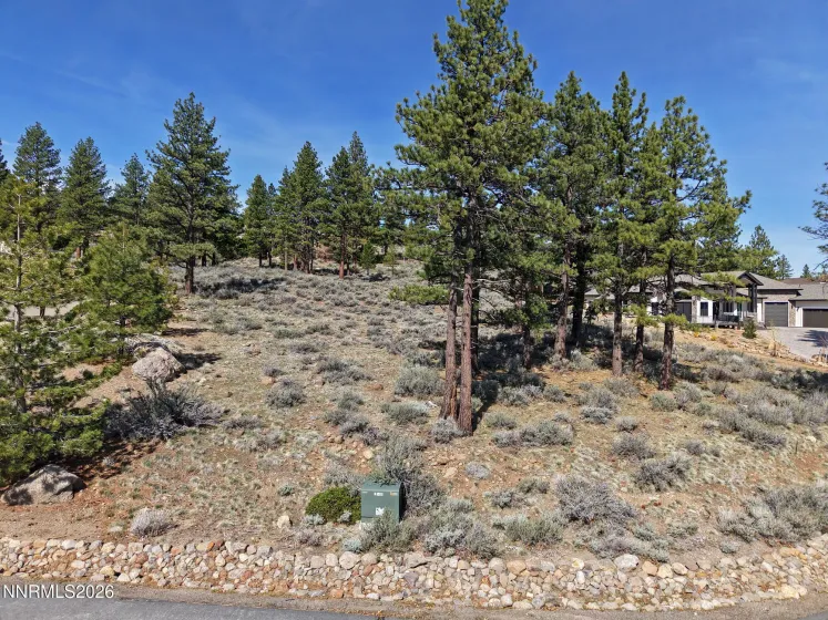 490 Mount Mahogany, Reno, Nevada 89511, ,Land,Residential,Mount Mahogany,260003327
