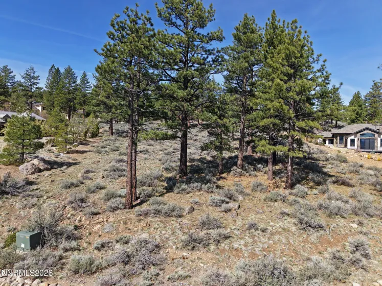 490 Mount Mahogany, Reno, Nevada 89511, ,Land,Residential,Mount Mahogany,260003327
