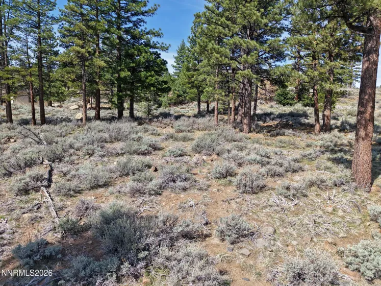 490 Mount Mahogany, Reno, Nevada 89511, ,Land,Residential,Mount Mahogany,260003327