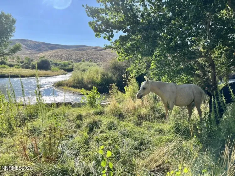 156 Walker, Yerington, Nevada 89447, 4 Bedrooms Bedrooms, ,5 BathroomsBathrooms,Residential,Residential,Walker,260003339
