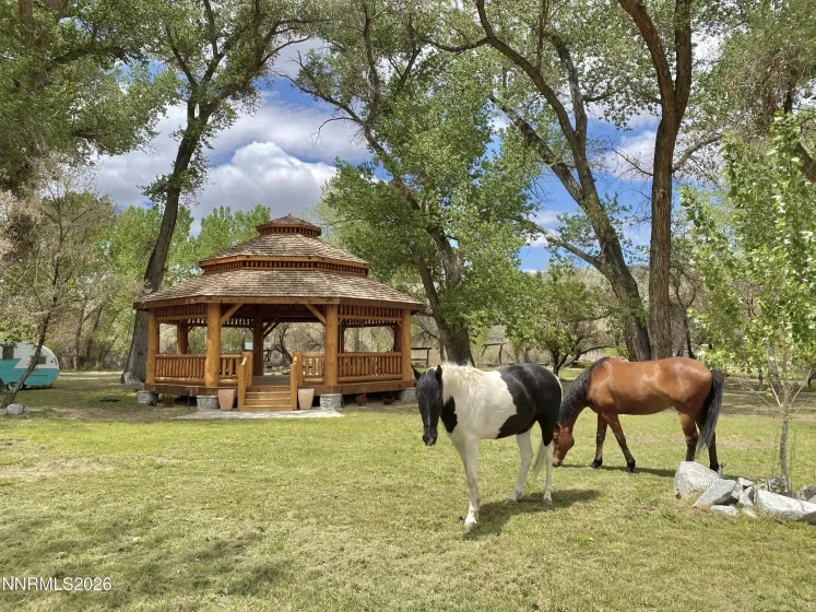 156 Walker, Yerington, Nevada 89447, 4 Bedrooms Bedrooms, ,5 BathroomsBathrooms,Residential,Residential,Walker,260003339