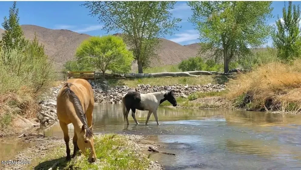 156 Walker, Yerington, Nevada 89447, 4 Bedrooms Bedrooms, ,5 BathroomsBathrooms,Residential,Residential,Walker,260003339