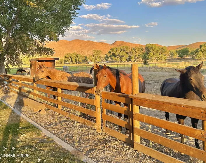 156 Walker, Yerington, Nevada 89447, 4 Bedrooms Bedrooms, ,5 BathroomsBathrooms,Residential,Residential,Walker,260003339