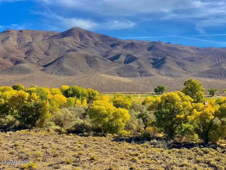 156 Walker, Yerington, Nevada 89447, 4 Bedrooms Bedrooms, ,5 BathroomsBathrooms,Residential,Residential,Walker,260003339