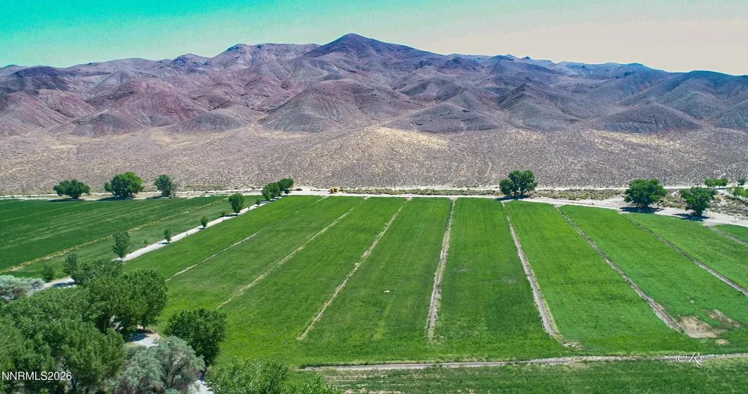 156 Walker, Yerington, Nevada 89447, 4 Bedrooms Bedrooms, ,5 BathroomsBathrooms,Residential,Residential,Walker,260003339