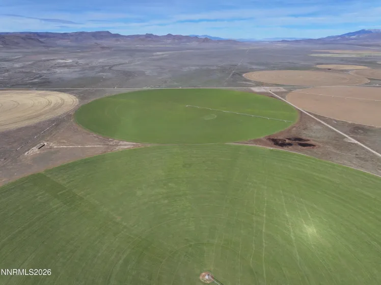 0 NV-305, Battle Mountain, Nevada 89820, 12 Bedrooms Bedrooms, ,8 BathroomsBathrooms,Farm & Ranch,Residential,NV-305,260003342