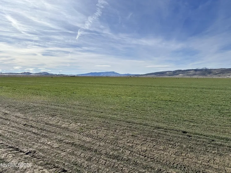 0 NV-305, Battle Mountain, Nevada 89820, 12 Bedrooms Bedrooms, ,8 BathroomsBathrooms,Farm & Ranch,Residential,NV-305,260003342