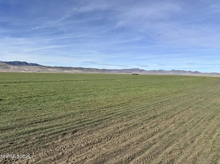 0 NV-305, Battle Mountain, Nevada 89820, 12 Bedrooms Bedrooms, ,8 BathroomsBathrooms,Farm & Ranch,Residential,NV-305,260003342