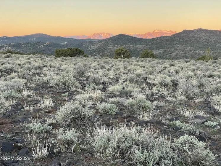 6600 Goldfield, Reno, Nevada 89521, ,Land,Residential,Goldfield,260003406