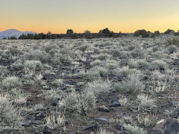 6600 Goldfield, Reno, Nevada 89521, ,Land,Residential,Goldfield,260003406