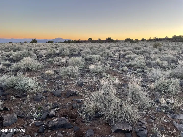 6600 Goldfield, Reno, Nevada 89521, ,Land,Residential,Goldfield,260003406