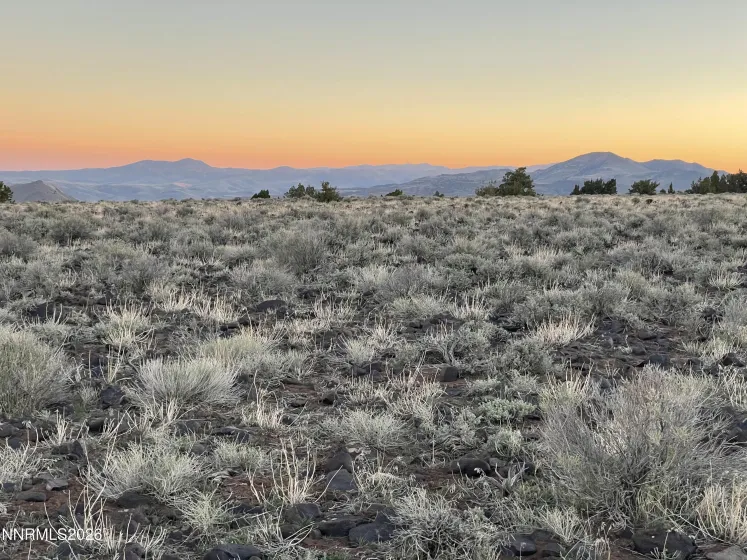 6600 Goldfield, Reno, Nevada 89521, ,Land,Residential,Goldfield,260003406