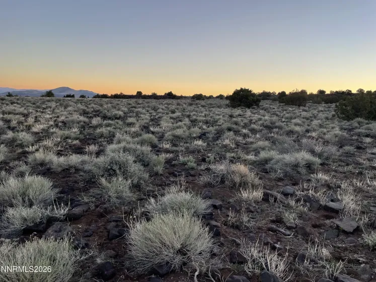 6600 Goldfield, Reno, Nevada 89521, ,Land,Residential,Goldfield,260003406