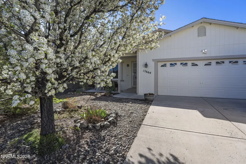 17664 Alexandria, Reno, Nevada 89508, 3 Bedrooms Bedrooms, ,2 BathroomsBathrooms,Residential,Residential,Alexandria,260003411