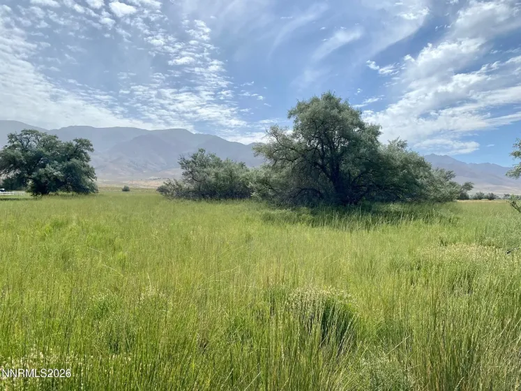 22150 Chimney Creek, Lovelock, Nevada 89419, ,Land,Residential,Chimney Creek,260003423
