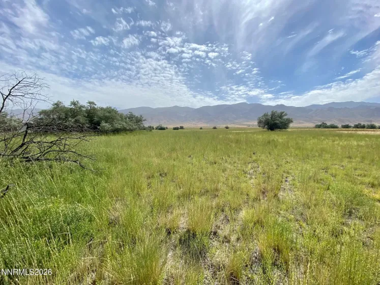 22150 Chimney Creek, Lovelock, Nevada 89419, ,Land,Residential,Chimney Creek,260003423