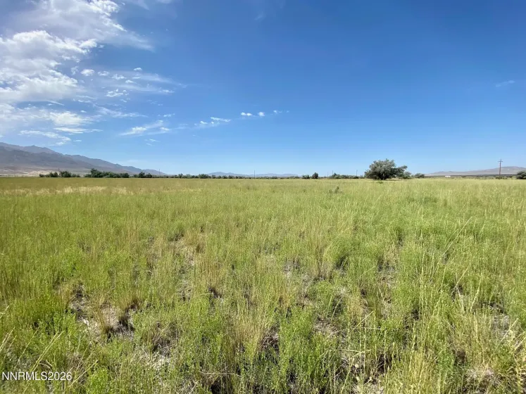 22150 Chimney Creek, Lovelock, Nevada 89419, ,Land,Residential,Chimney Creek,260003423