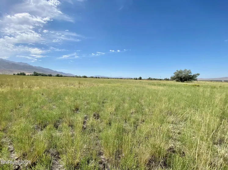 22150 Chimney Creek, Lovelock, Nevada 89419, ,Land,Residential,Chimney Creek,260003423