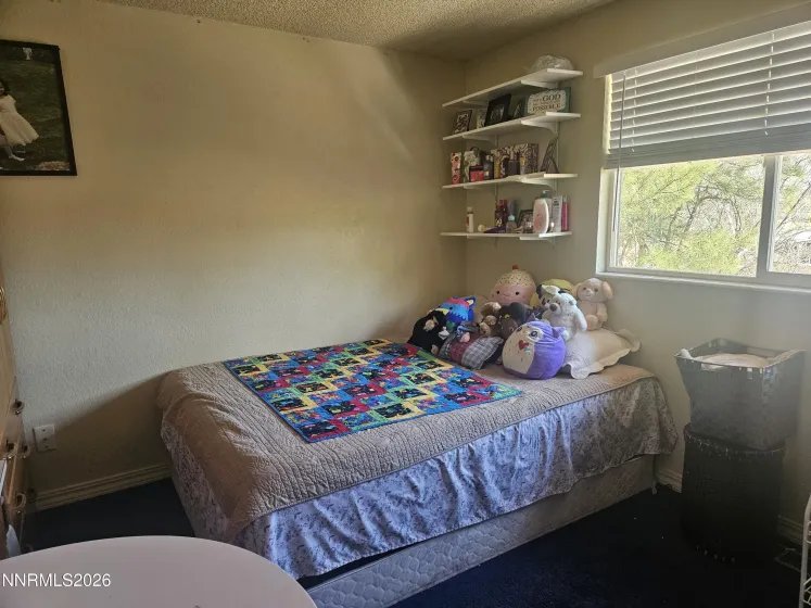 4360 Camino Lindo, Reno, Nevada 89502, 4 Bedrooms Bedrooms, ,3 BathroomsBathrooms,Residential,Residential,Camino Lindo,260003433