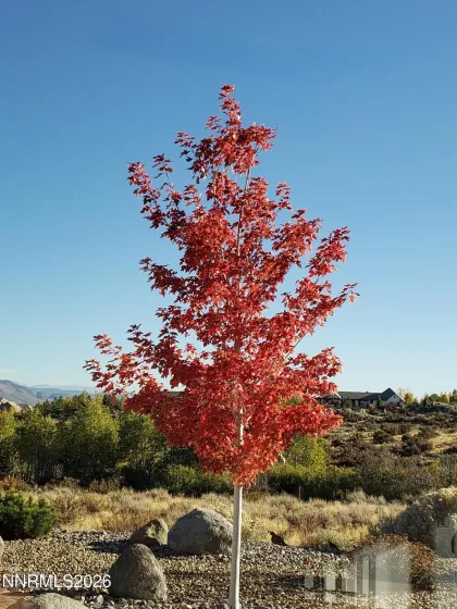 5452 Salmon River, Reno, Nevada 89511, 4 Bedrooms Bedrooms, ,4 BathroomsBathrooms,Residential,Residential,Salmon River,260001555