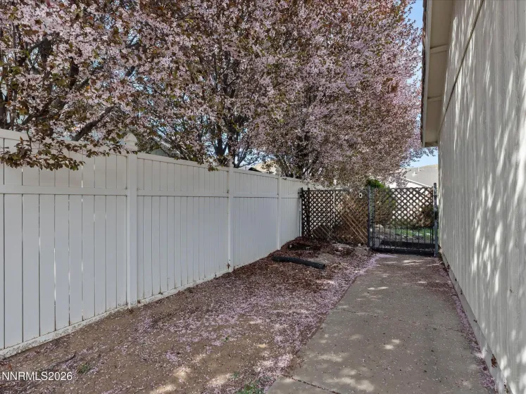 719 Palmwood, Sparks, Nevada 89434, 3 Bedrooms Bedrooms, ,2 BathroomsBathrooms,Residential,Residential,Palmwood,260003448