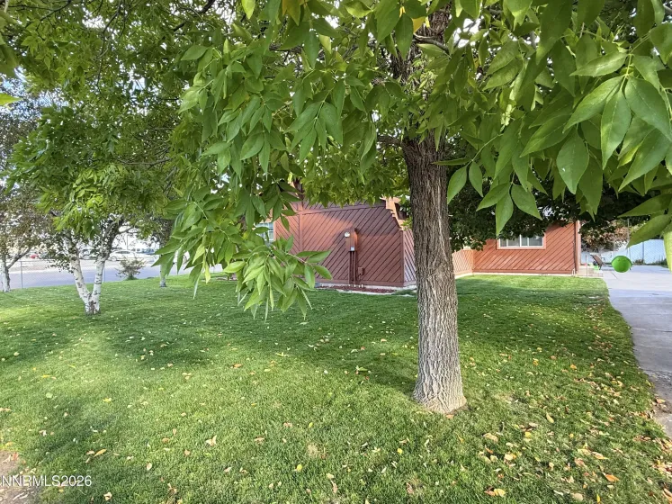 308 2nd, Battle Mountain, Nevada 89820, 3 Bedrooms Bedrooms, ,3 BathroomsBathrooms,Residential,Residential,2nd,260003496