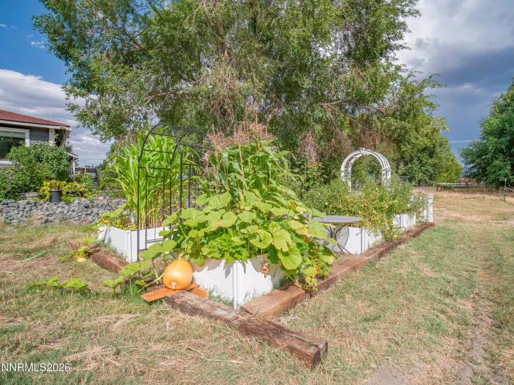 1238 Centerville, Gardnerville, Nevada 89460, 3 Bedrooms Bedrooms, ,2 BathroomsBathrooms,Residential,Residential,Centerville,260000815