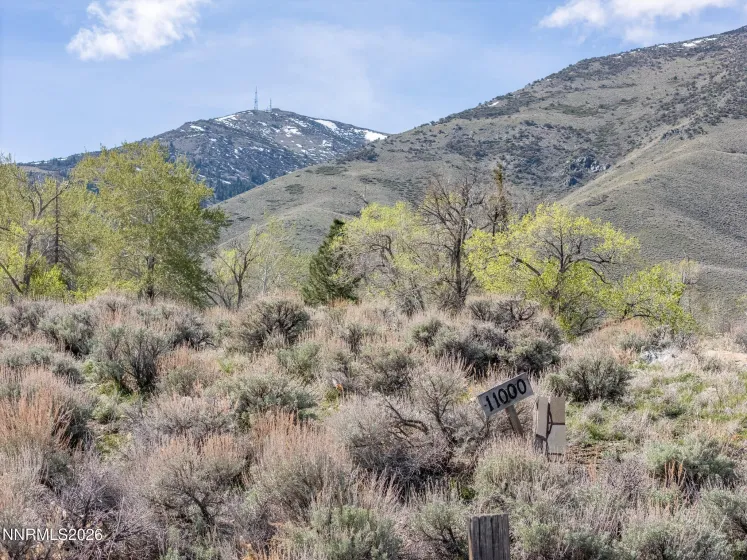 11000 Duffney, Reno, Nevada 89506, ,Land,Residential,Duffney,260003539