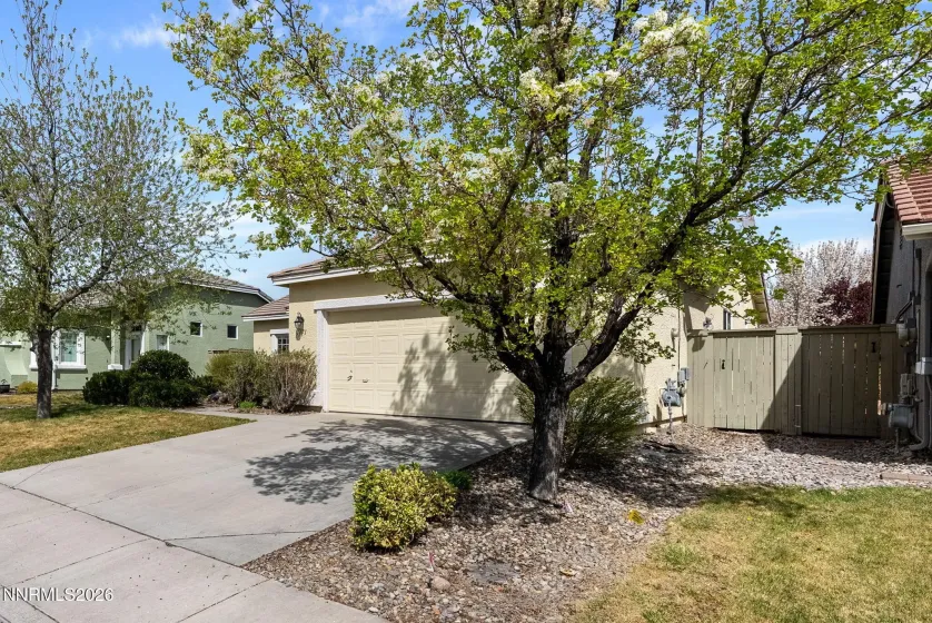 1771 Trek, Reno, Nevada 89521, 3 Bedrooms Bedrooms, ,2 BathroomsBathrooms,Residential,Residential,Trek,260003552