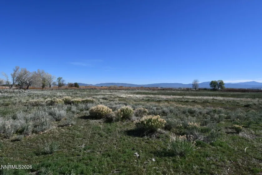 1597 Us Highway 395, Minden, Nevada 89423, ,Commercial Sale,Residential,Us Highway 395,260003553