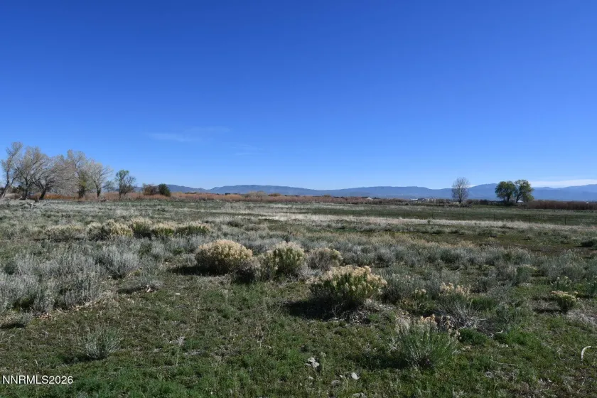 1597 Us Highway 395, Minden, Nevada 89423, ,Commercial Sale,Residential,Us Highway 395,260003553