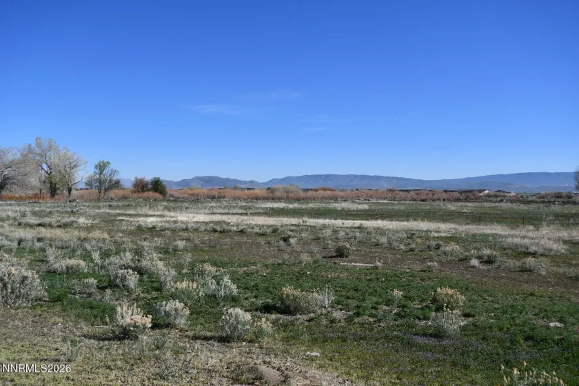 1597 Us Highway 395, Minden, Nevada 89423, ,Commercial Sale,Residential,Us Highway 395,260003553