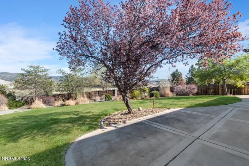 290 Stonewall, Reno, Nevada 89511, 3 Bedrooms Bedrooms, ,2 BathroomsBathrooms,Residential,Residential,Stonewall,260003556