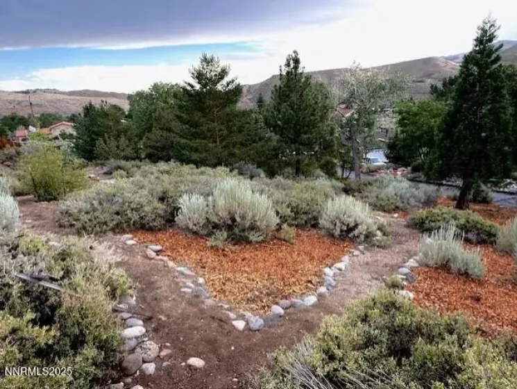 80 Bobcat, Reno, Nevada 89523, 3 Bedrooms Bedrooms, ,2 BathroomsBathrooms,Residential,Residential,Bobcat,260003558