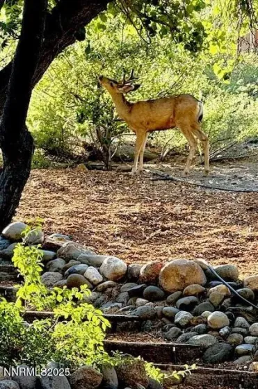 Meet 'the neighbors'