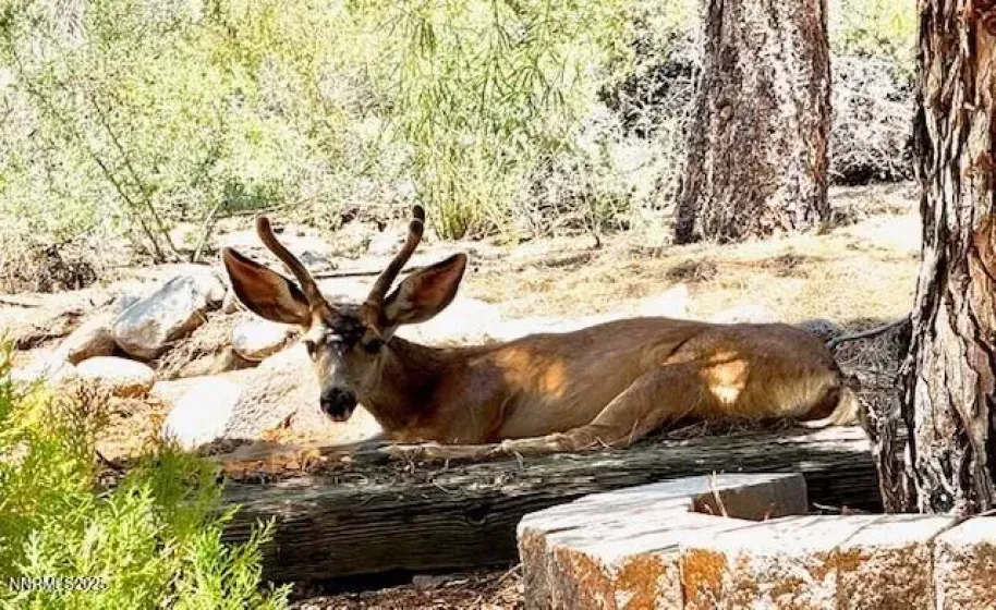 Meet 'the neighbors'