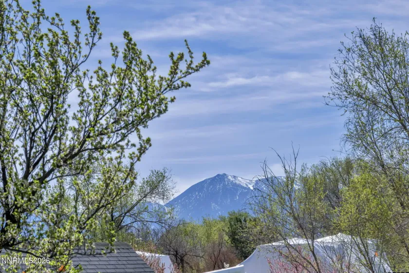 2664 Kayne, Minden, Nevada 89423, 4 Bedrooms Bedrooms, ,4 BathroomsBathrooms,Residential,Residential,Kayne,260003562