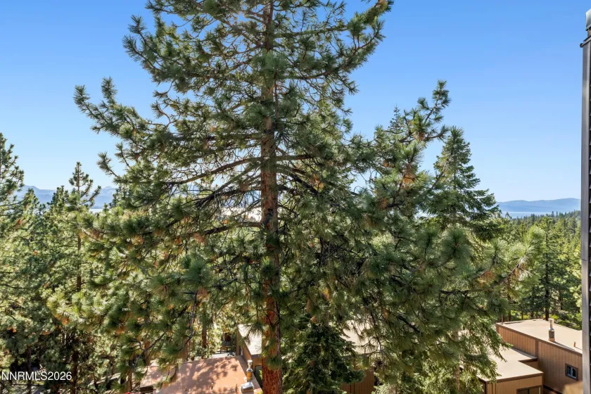 133 Holly, Stateline, Nevada 89449, 3 Bedrooms Bedrooms, ,3 BathroomsBathrooms,Residential,Residential,Holly,260003579