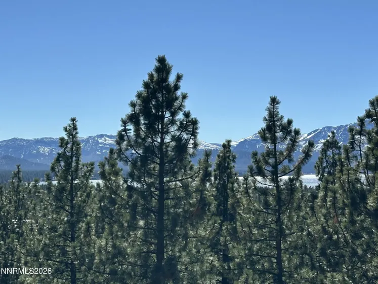 133 Holly, Stateline, Nevada 89449, 3 Bedrooms Bedrooms, ,3 BathroomsBathrooms,Residential,Residential,Holly,260003579