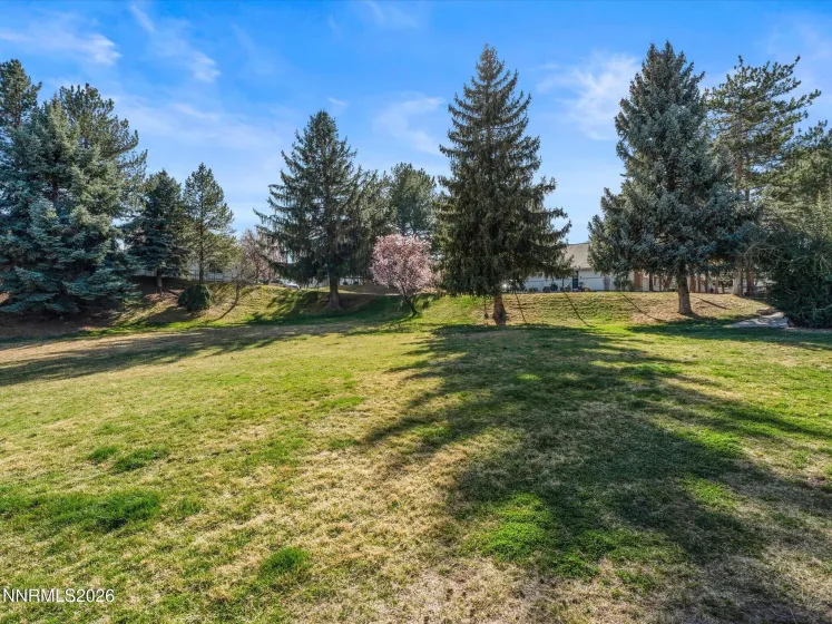 1215 Conway, Reno, Nevada 89503, 3 Bedrooms Bedrooms, ,2 BathroomsBathrooms,Residential,Residential,Conway,260003590