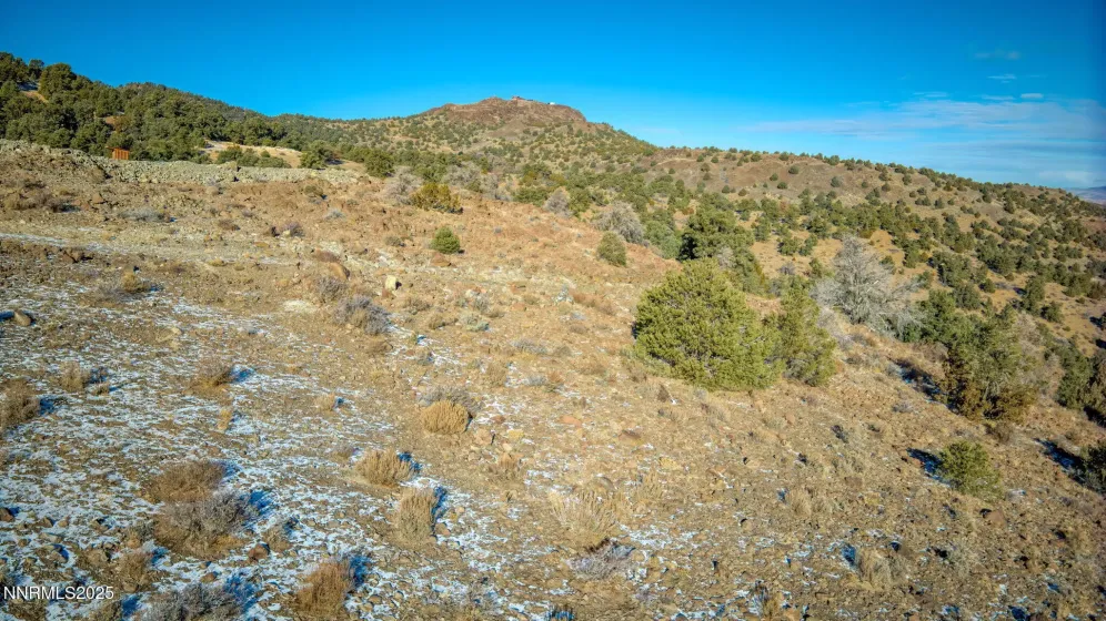 2480 Lousetown, Reno, Nevada 89521, ,Land,Residential,Lousetown,260003628