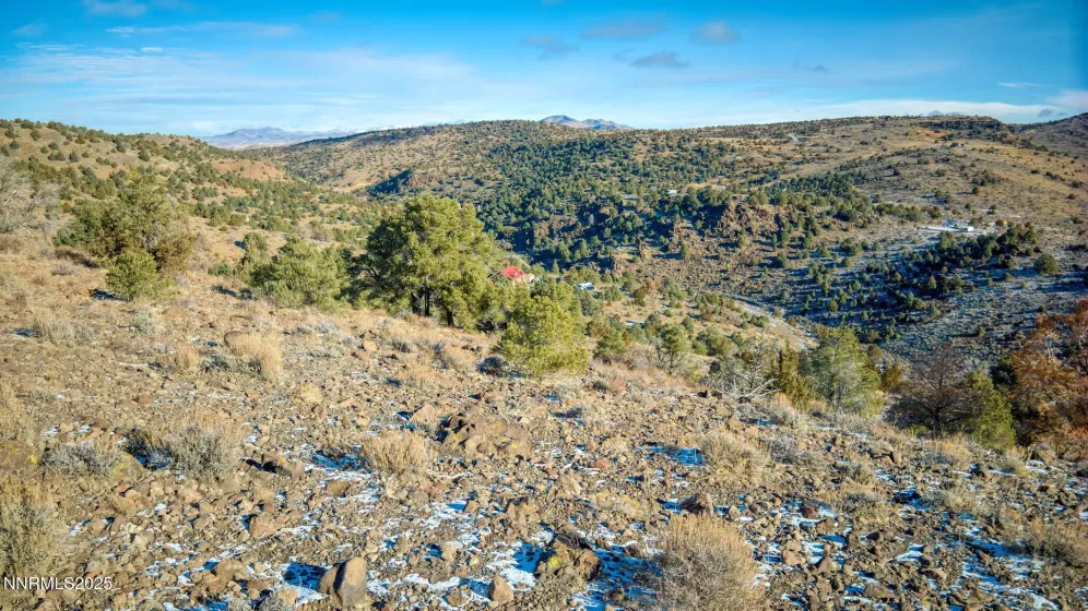 2480 Lousetown, Reno, Nevada 89521, ,Land,Residential,Lousetown,260003628