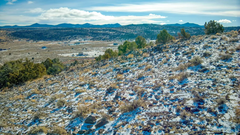 2480 Lousetown, Reno, Nevada 89521, ,Land,Residential,Lousetown,260003628