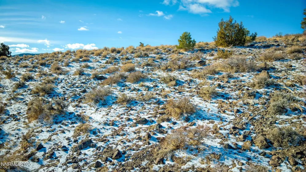 2480 Lousetown, Reno, Nevada 89521, ,Land,Residential,Lousetown,260003628