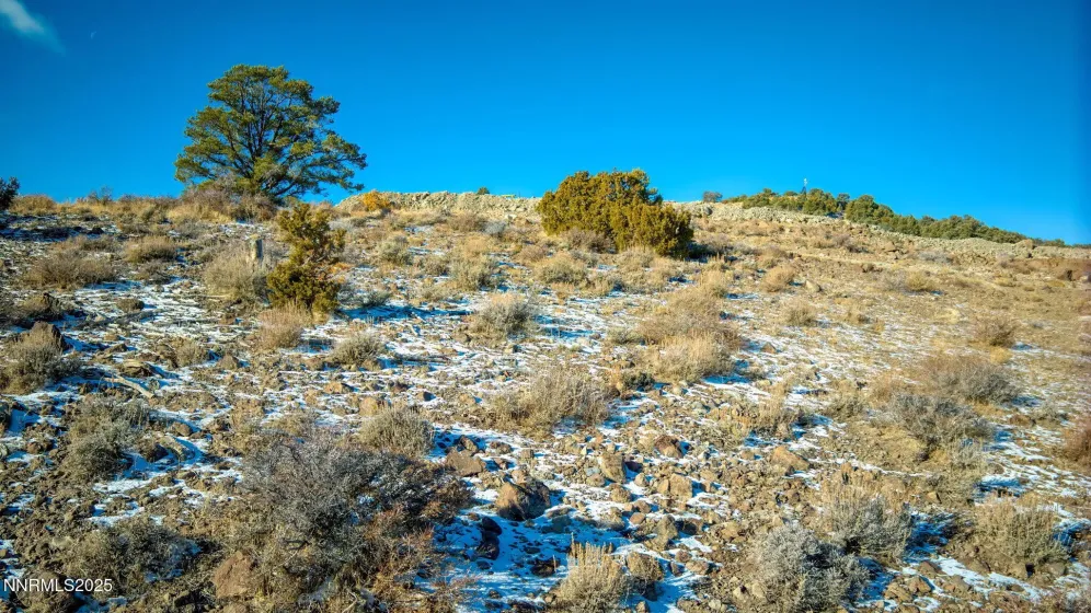 2480 Lousetown, Reno, Nevada 89521, ,Land,Residential,Lousetown,260003628