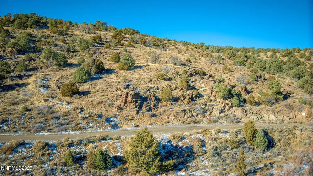 2480 Lousetown, Reno, Nevada 89521, ,Land,Residential,Lousetown,260003628