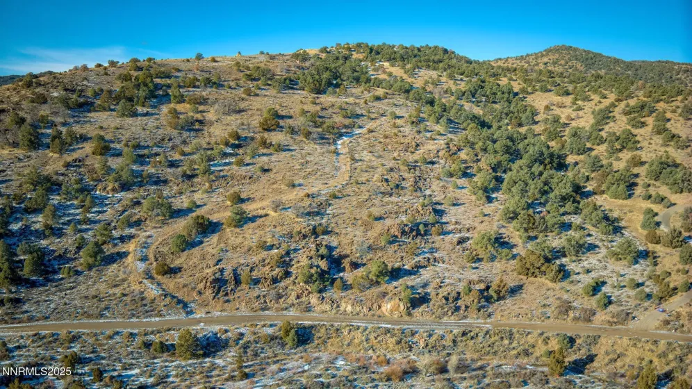 2480 Lousetown, Reno, Nevada 89521, ,Land,Residential,Lousetown,260003628