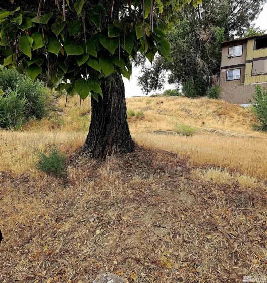 2065 Wedekind, Reno, Nevada 89512, ,Land,Residential,Wedekind,240012064
