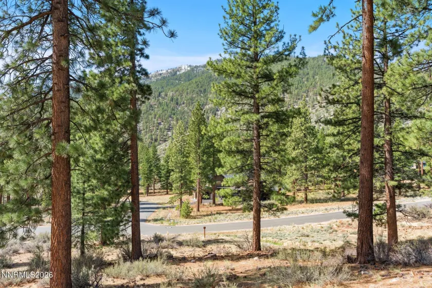 3398 Golf Club, Carson City, Nevada 89705, ,Land,Residential,Golf Club,260003679